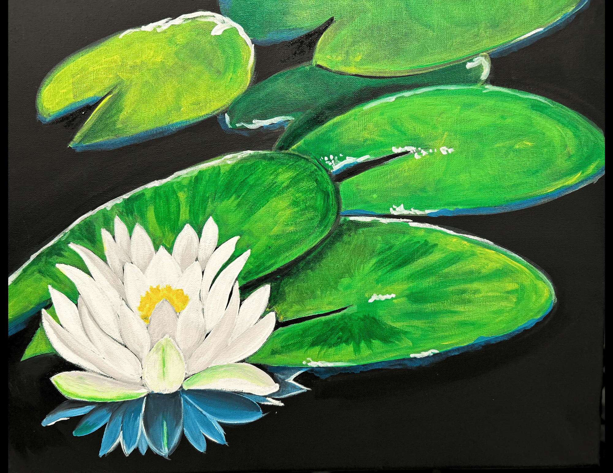 White Water Lily - NM