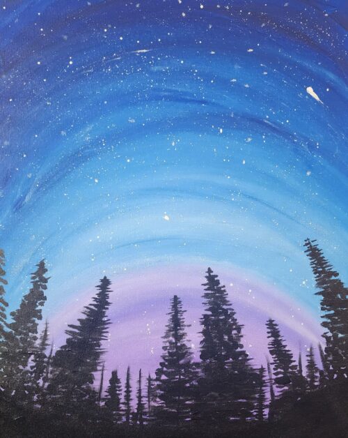 Alaskan Nights paint and sip