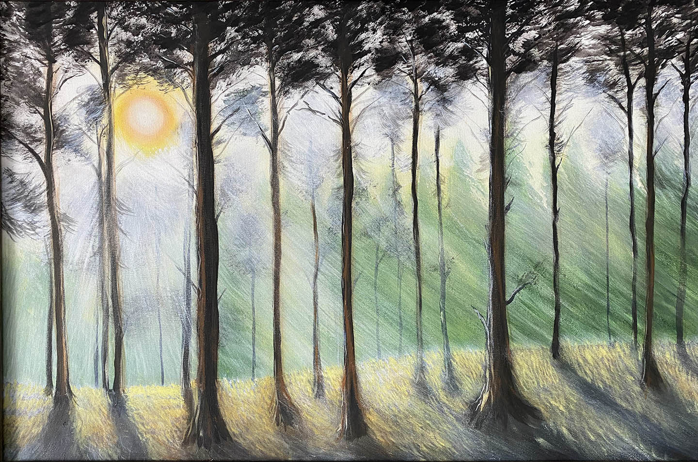 misty sun rise in the forest