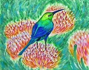 Image of painting called 'Humming Bird on Protea'