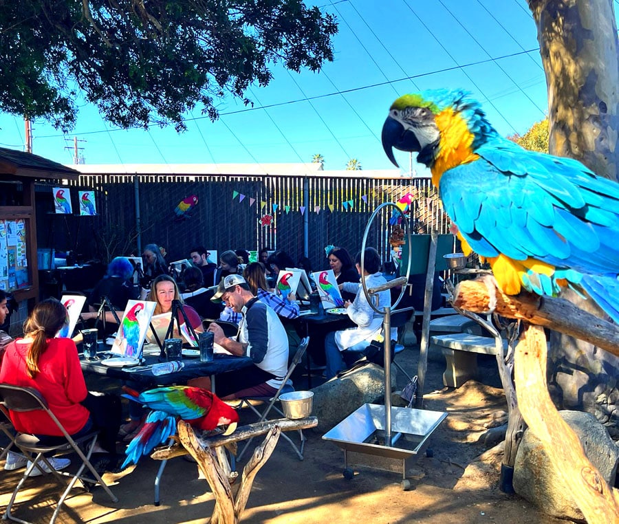 Painting Fundraiser Event at Free Flight Exotic Bird Sanctuary