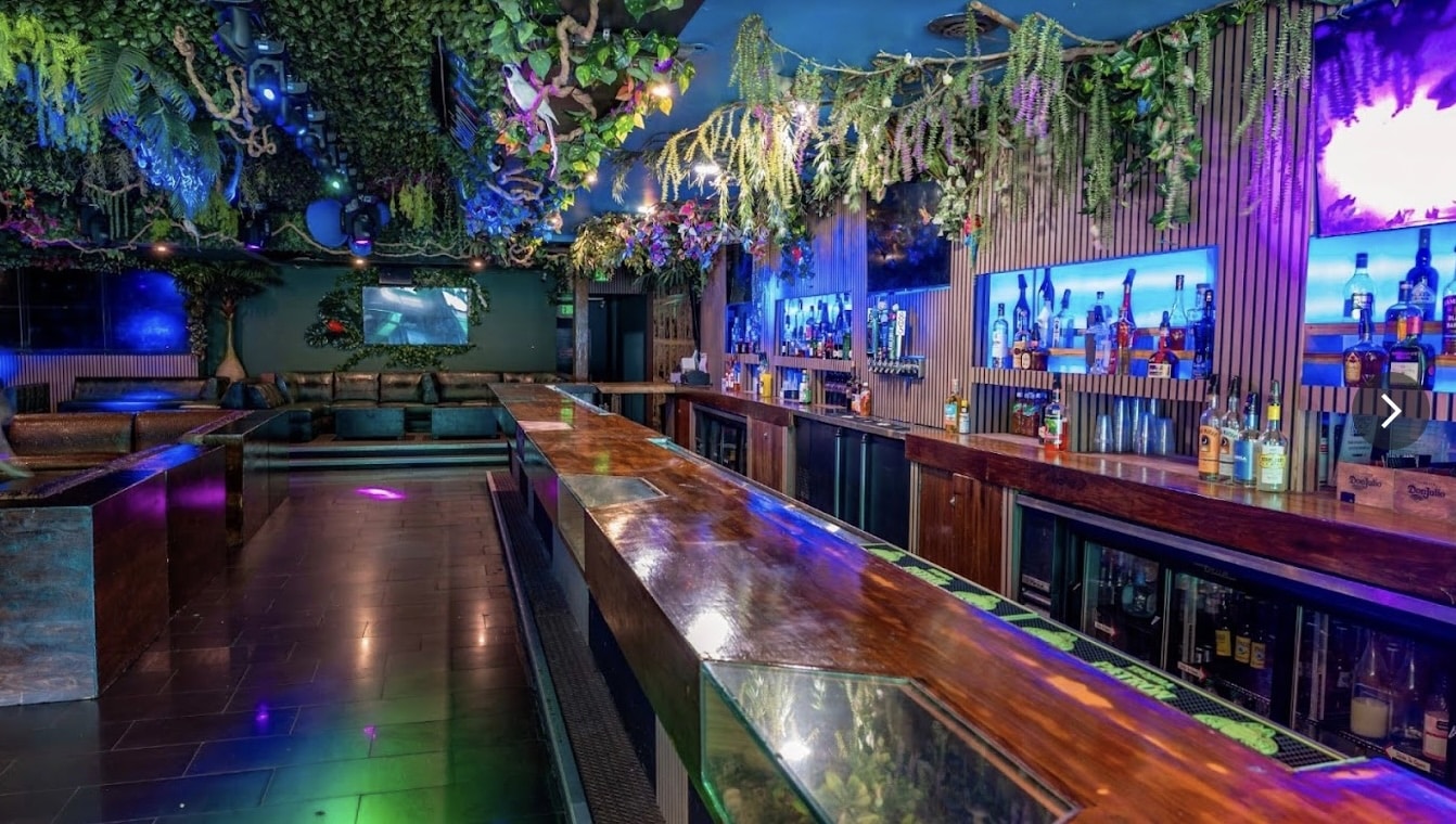 Jungle Hollywood venue picture