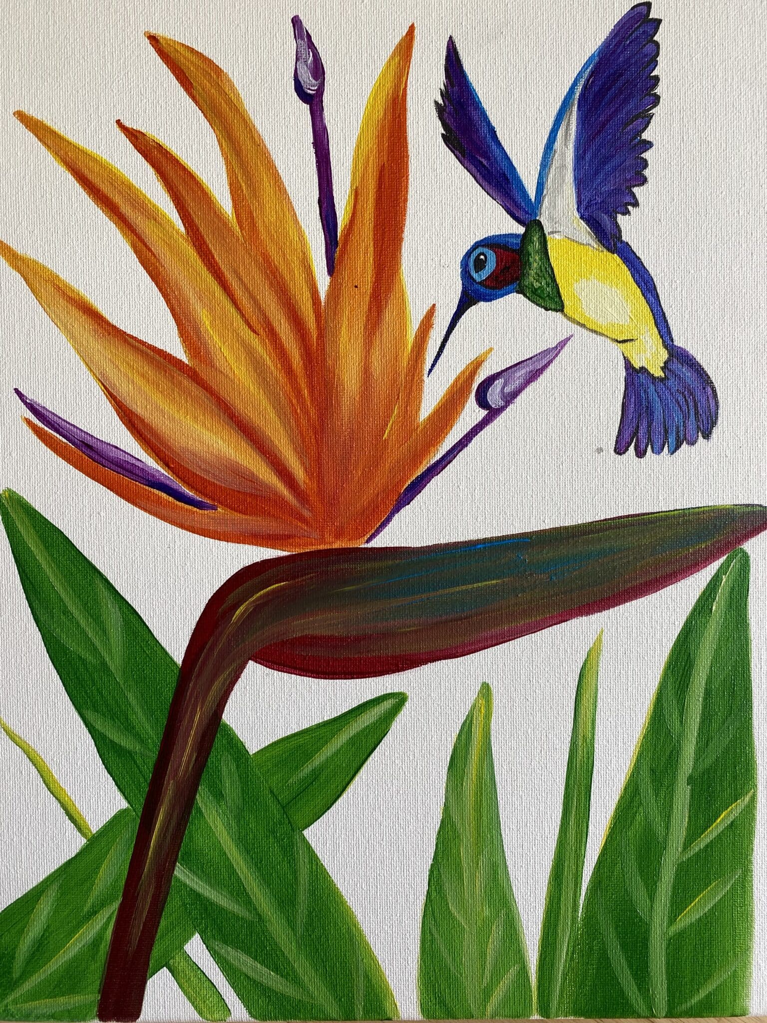Hummingbird paradise Paint and sip